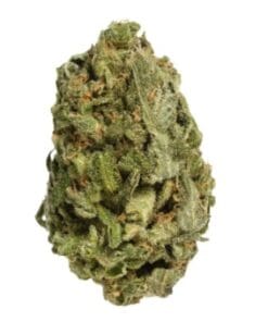 Bake Sale - All Purpose Flower Sativa