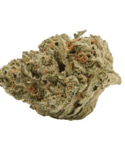 Back Forty - Liquid Imagination