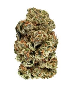 3Saints - Kush Cookies (Garlic Z)