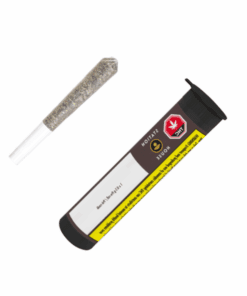 Station House - LA Confidential Pre-roll