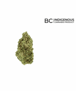 All Nations - Craft Lemon Gelato