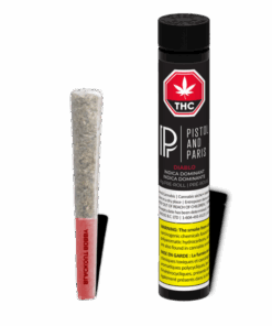 Pistol and Paris - Diablo Pre-roll