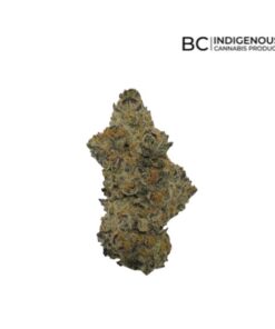 Jbuds - Craft Platinum Rainbows